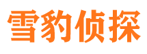 孝南市侦探调查公司